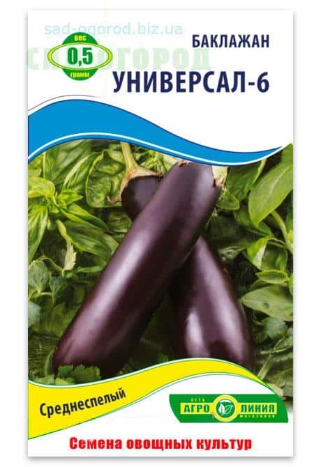 Aubergine Universal 6