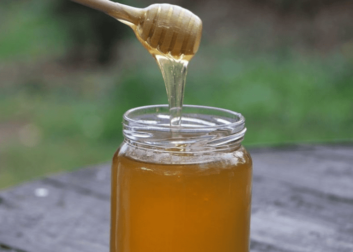 zlatobýl med