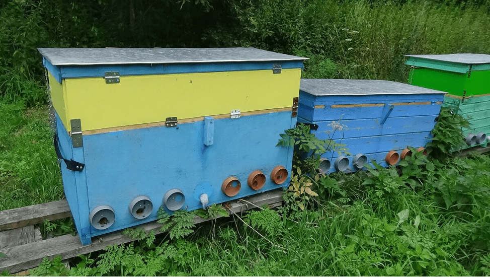 Beehive solstol foto