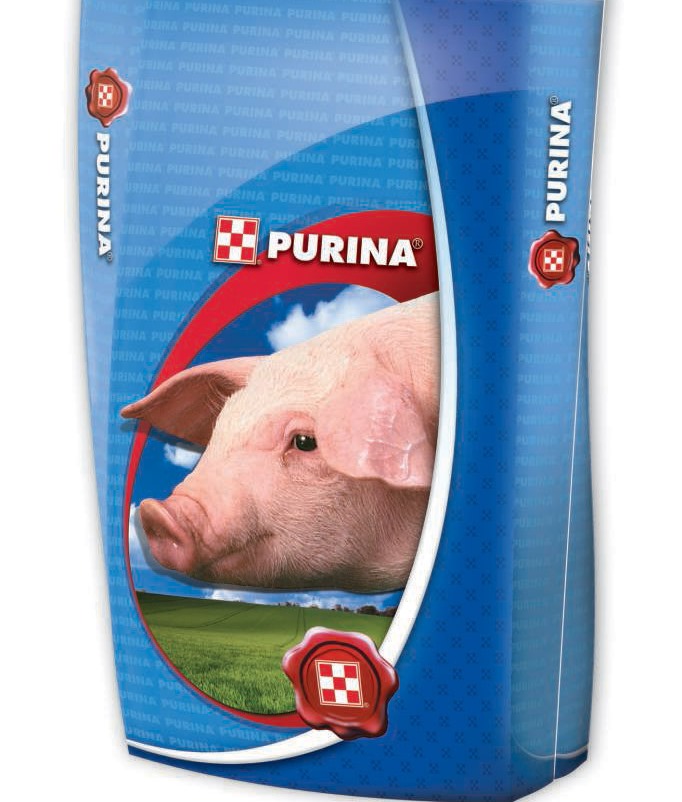 purina dla świń