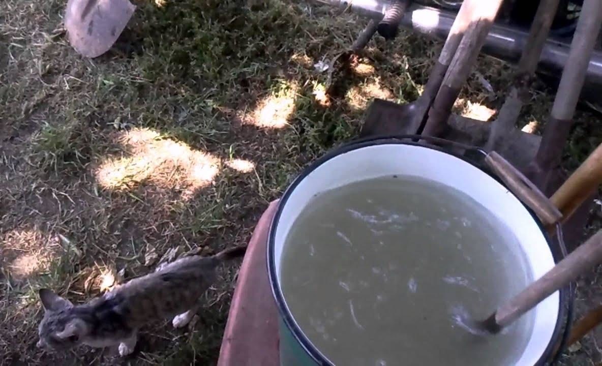 DIY invert syrup for bees