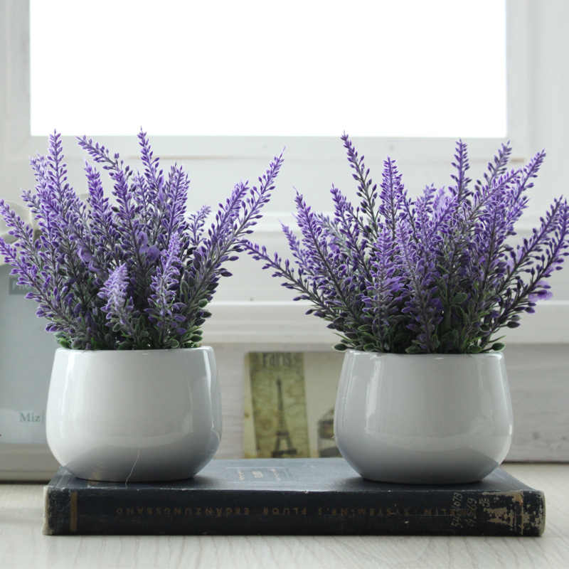 lavender in a pot at home photo