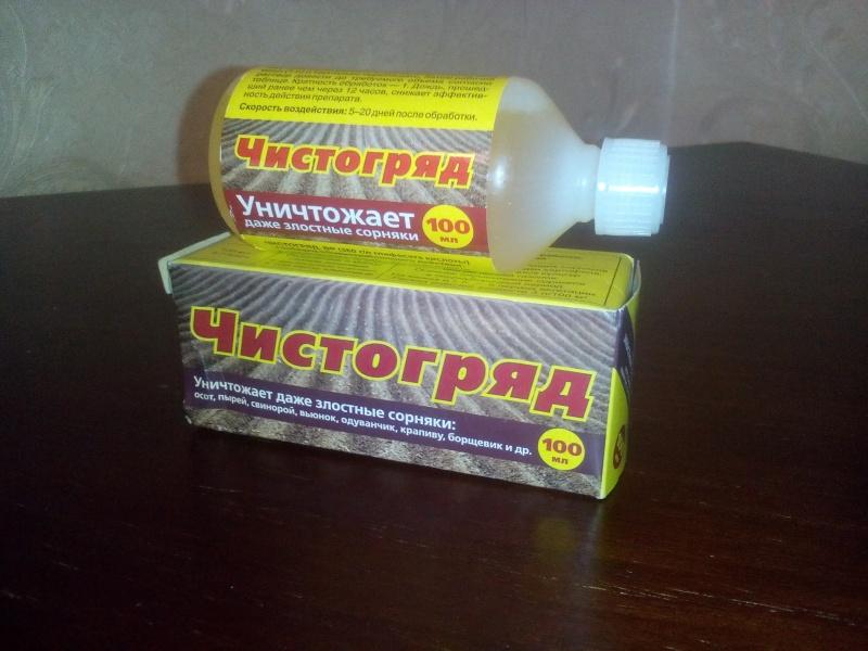 ảnh Chistogryad