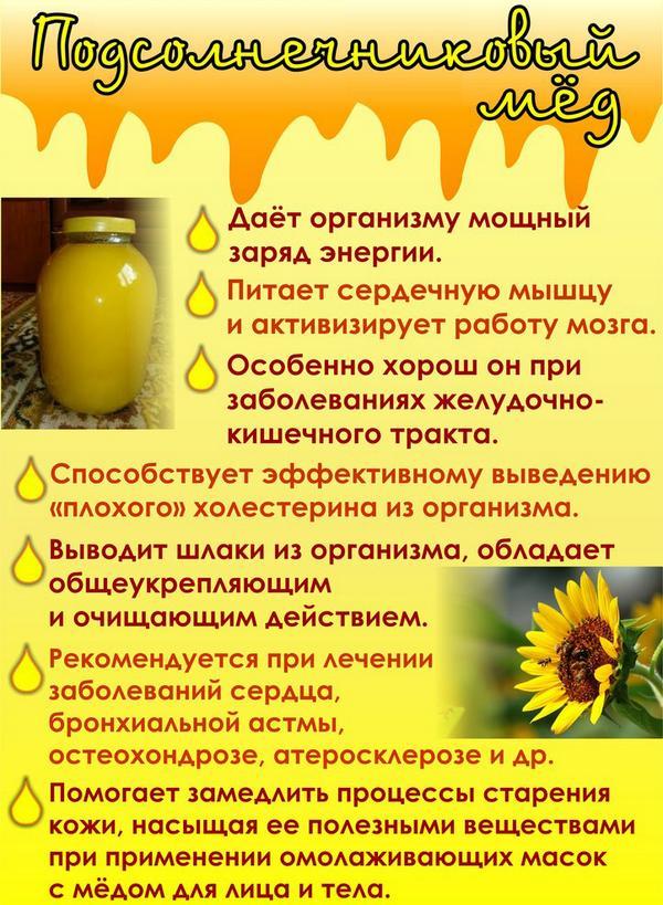 sunflower honey benefits