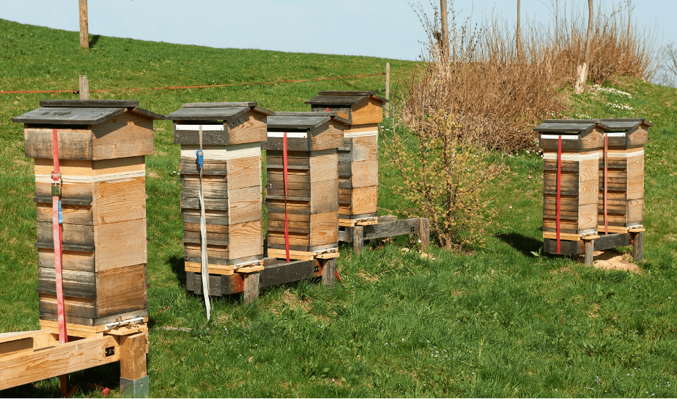 Japanische Bienenstöcke