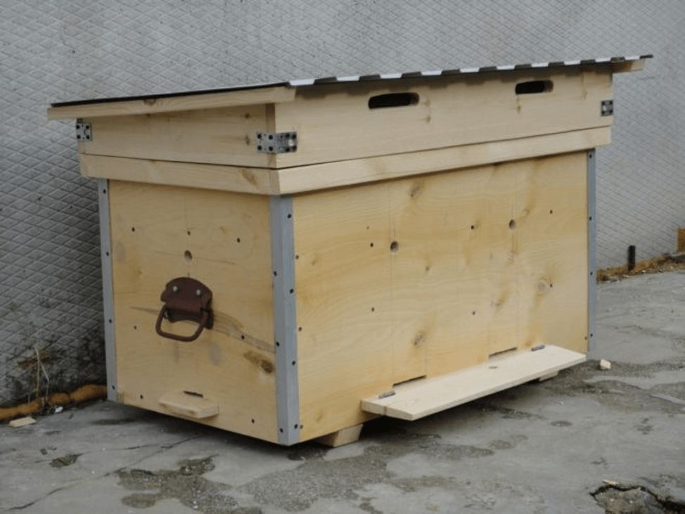 Plywood hive