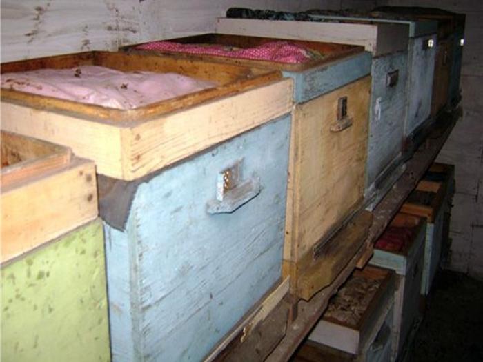 hibernační místnost pro včely