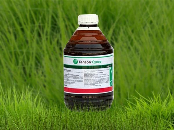 herbicide galera