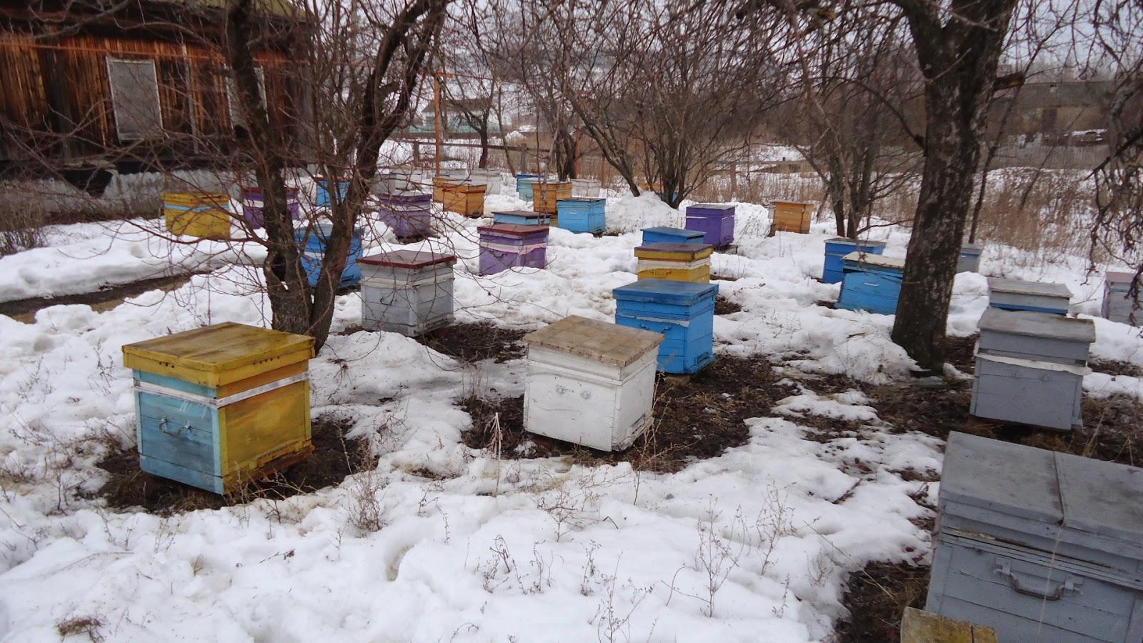 včelaři na jaře