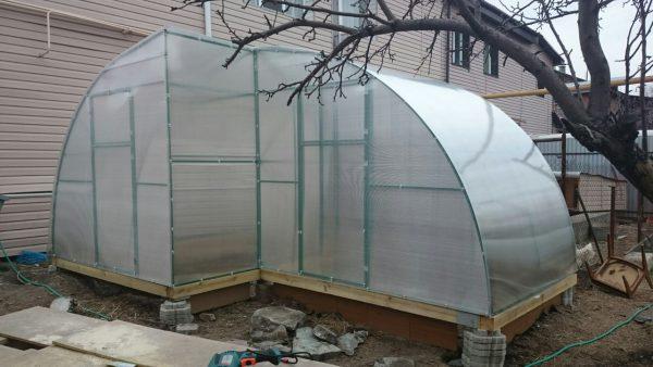 Arrangement of a greenhouse for a chicken coop