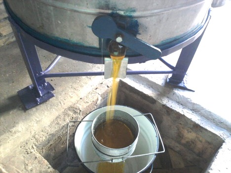 Honey extractor photo