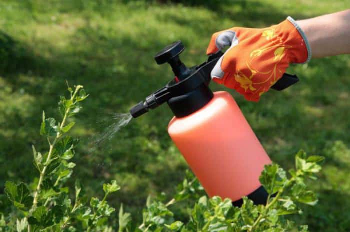 tratamento de plantas