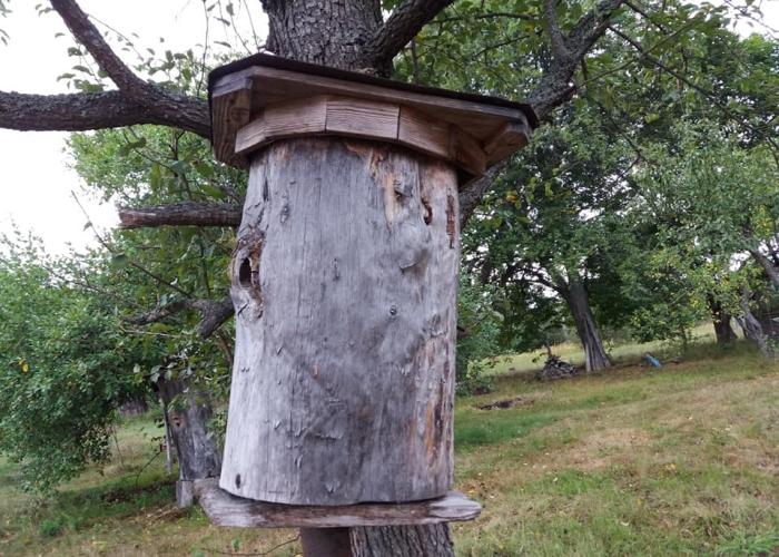 apiculture à faire soi-même