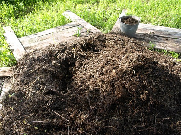 Compost