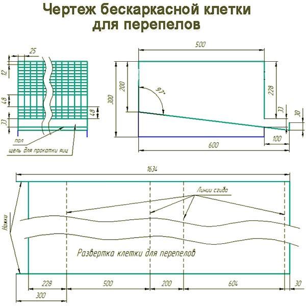 цртеж ћелије