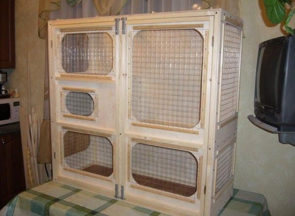 cage à furet