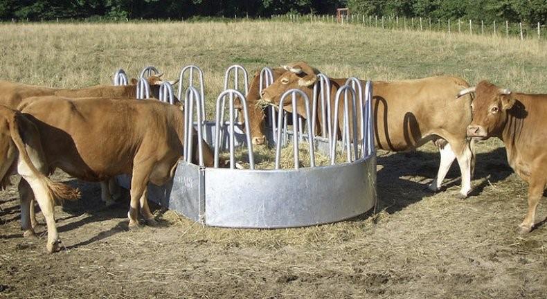 cattle feeder