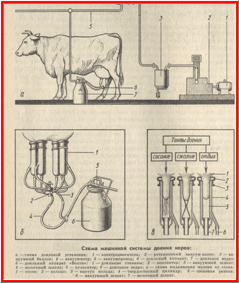 milking machine