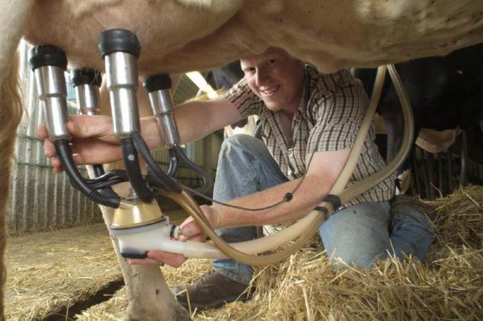 milking machine