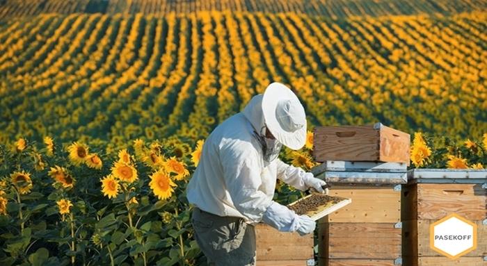 Bienenzucht