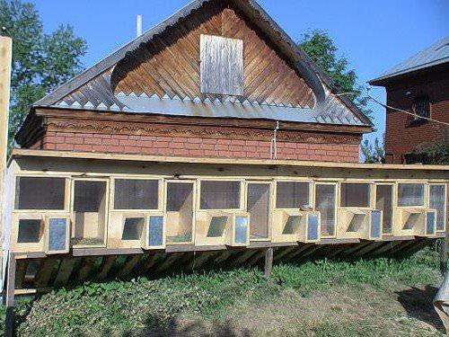 hangar à lapins