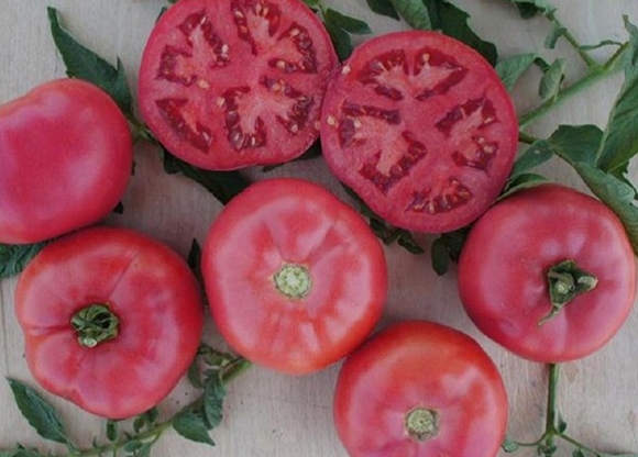 Aussehen der rosa Strauchtomate f1