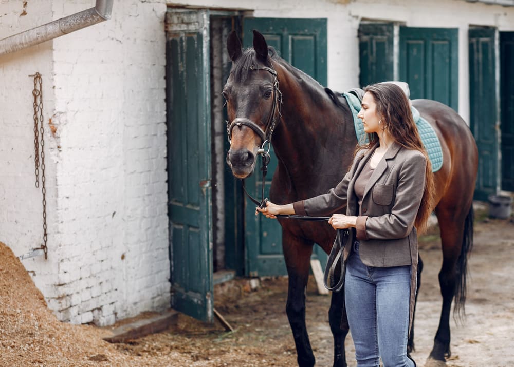 horse breeding