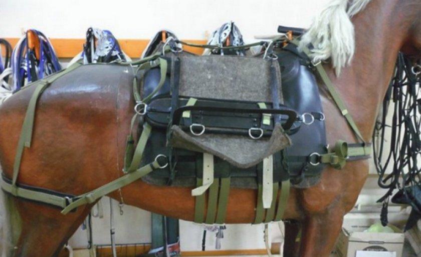 Saddle ng horse pack