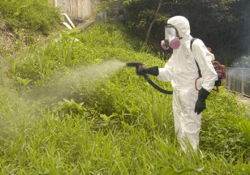 Anzug für die Gartenarbeit 