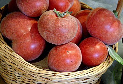 rajčatová broskev