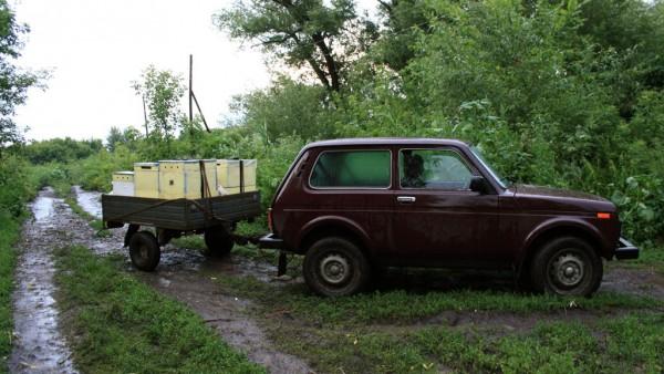 transport d'abeilles