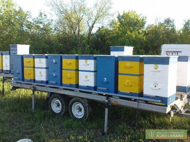 transport d'abeilles