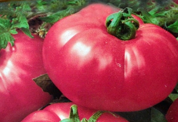 appearance of tea rose tomato