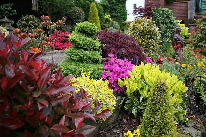 hermoso jardín de flores 