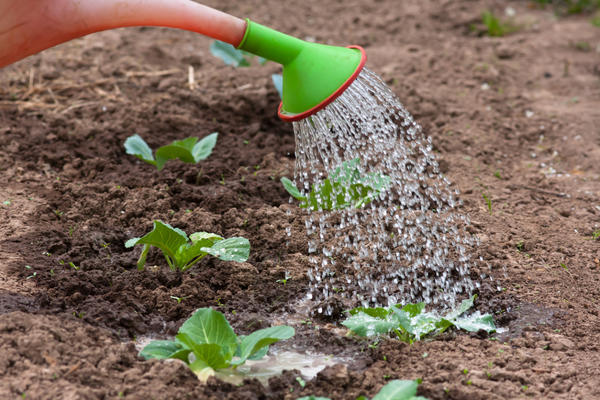 Kool water geven in de tuin