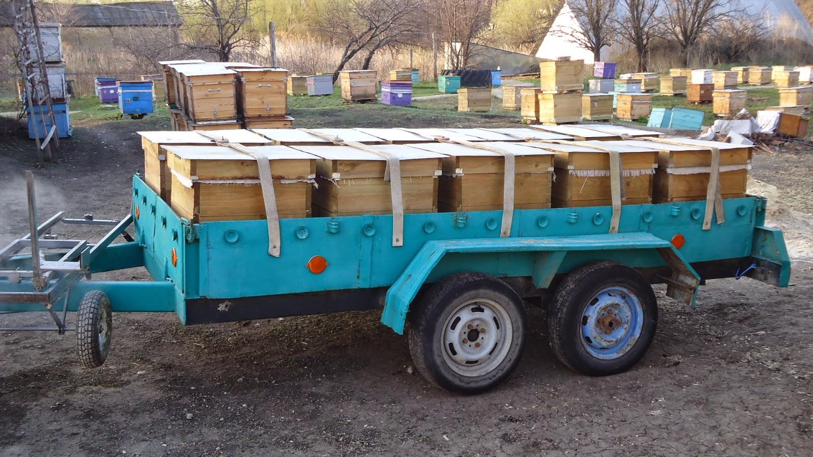 transport d'abeilles