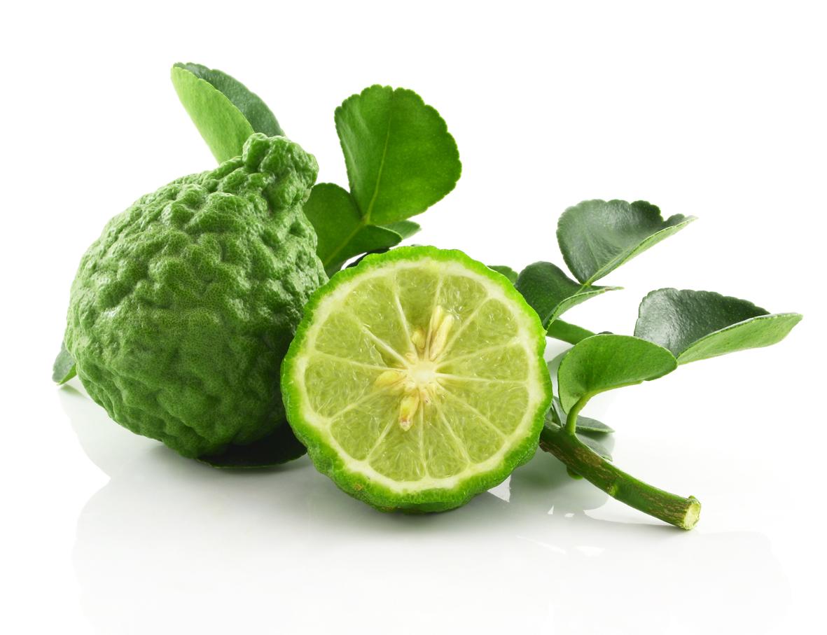 Description of bergamot