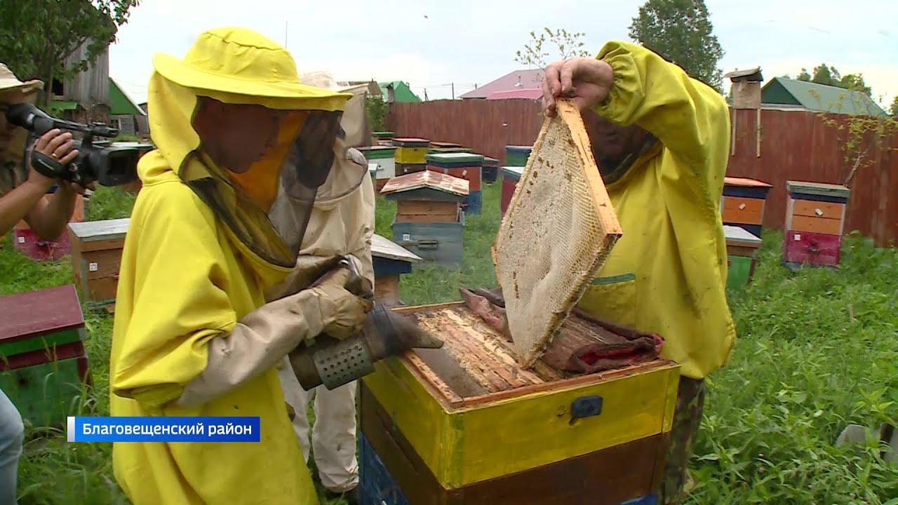 včelařství v Baškirii
