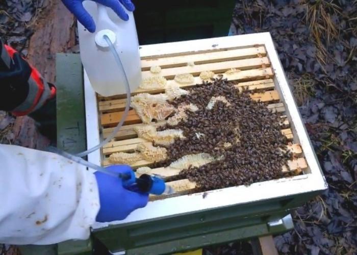 Behandlung von Bienen gegen Milben im Herbst