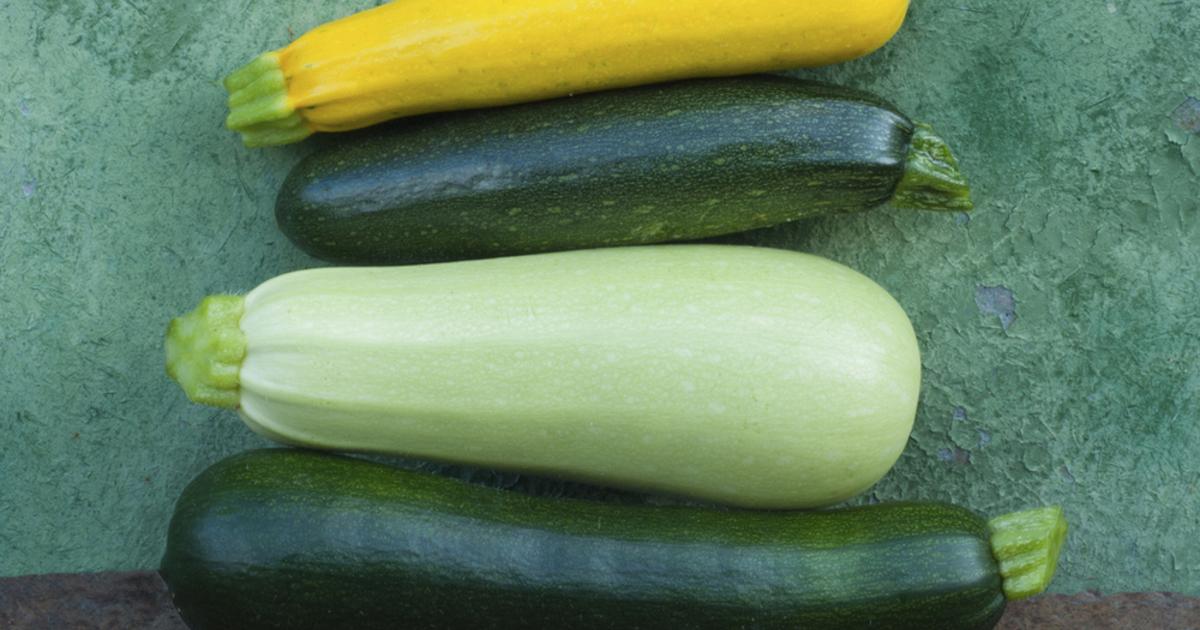  What are the differences between zucchini and zucchini peel? 