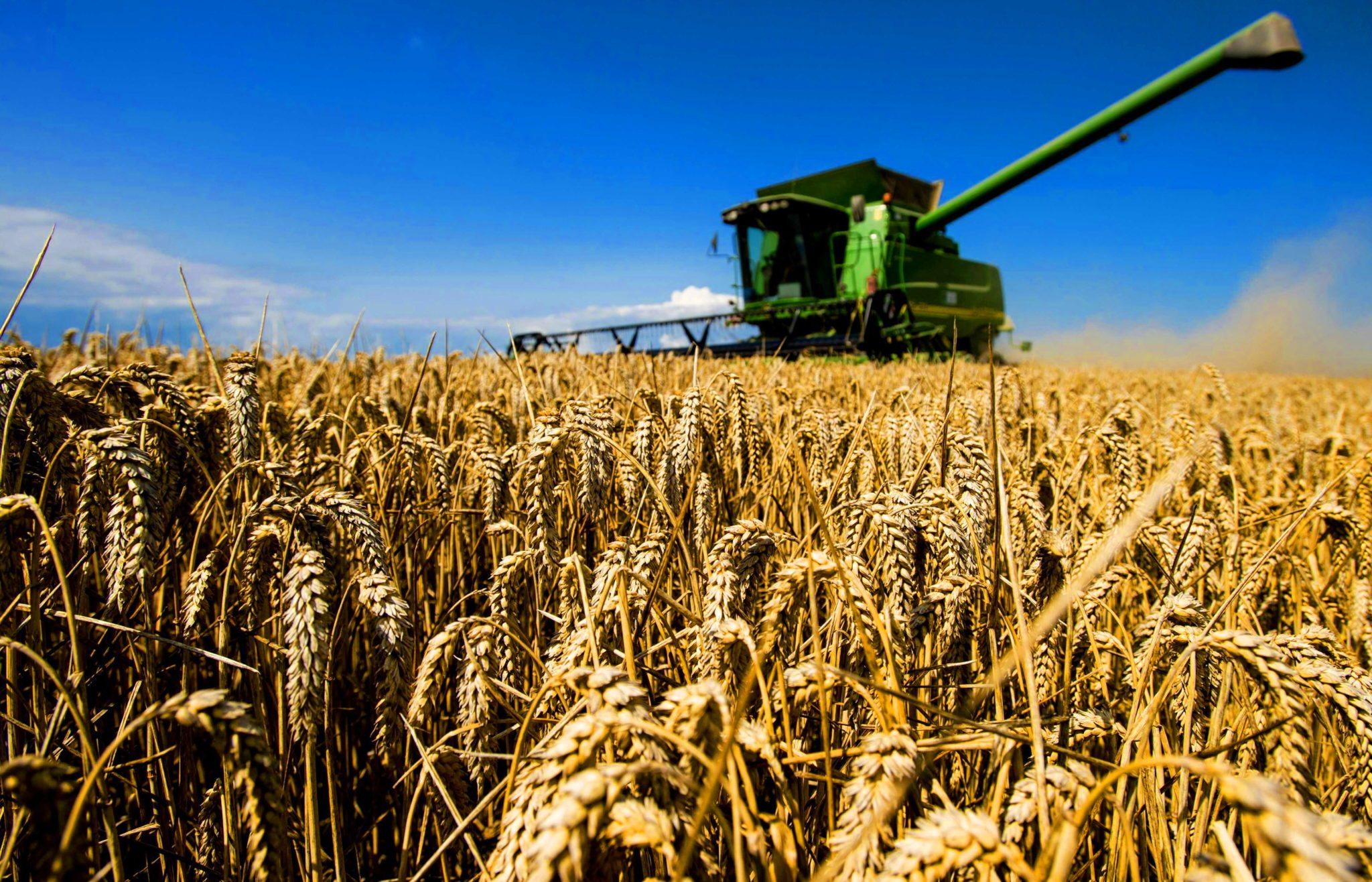 El papel de la producción agrícola en la Federación de Rusia foto