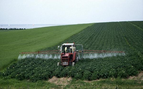 herbicide Titus sa patatas