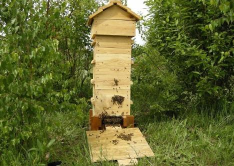 obrázek úlu