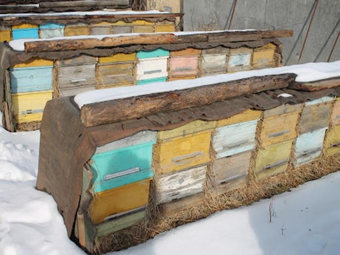 hibernační místnost pro včely