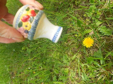 How to get rid of dandelions with salt forever