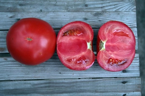 Tomaten-Kibo im Inneren