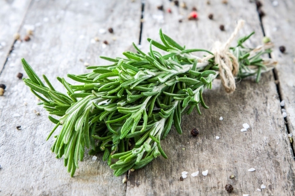 sprig of rosemary