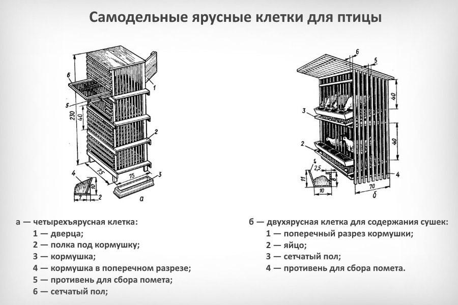 волијера за бисерке