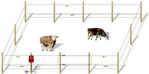 Schema zur Herstellung eines elektrischen Hirten