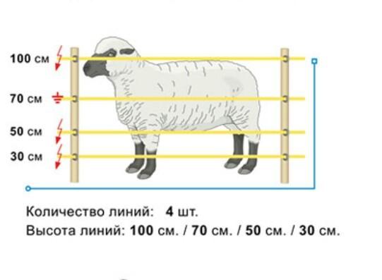 DIY elektrický ovčák pro ovce